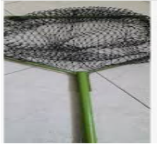 Serokan Induk